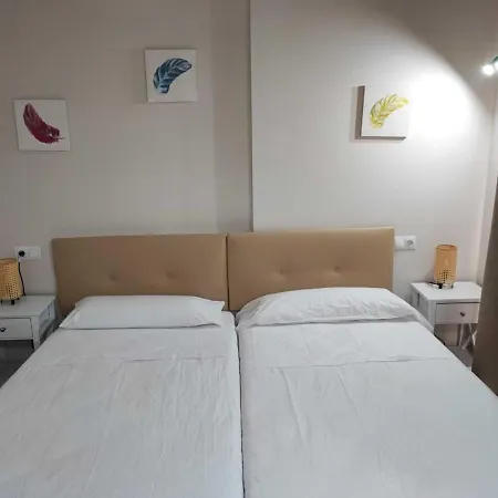 T4 De Dos En Centro Toledo